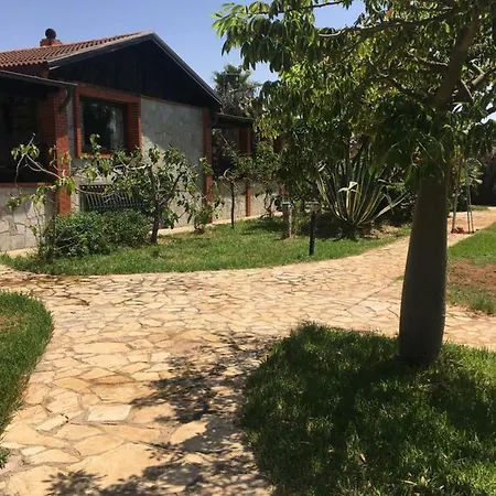 Lo Iacono