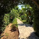 Lo Iacono